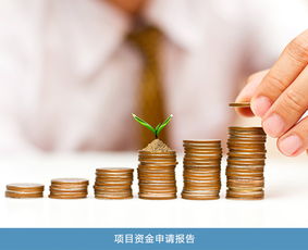 股權價值與項目投資風險分析 專業(yè)機構的選擇與價格考量